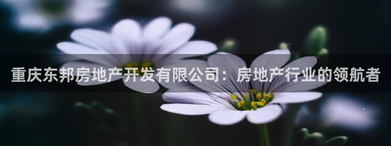 浙江永利集团