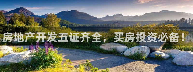 永利官网是什么
