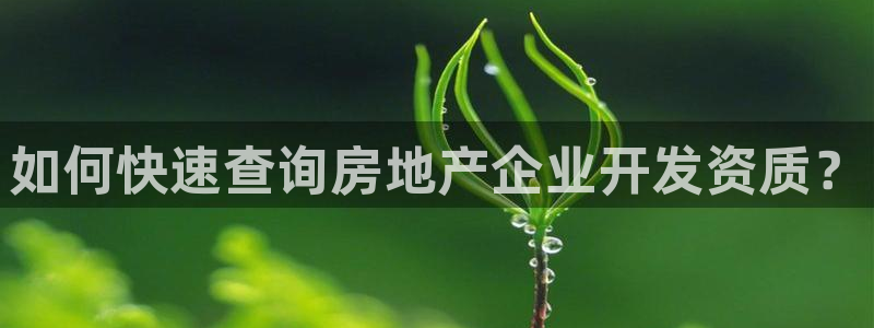 永利皮带型号说明