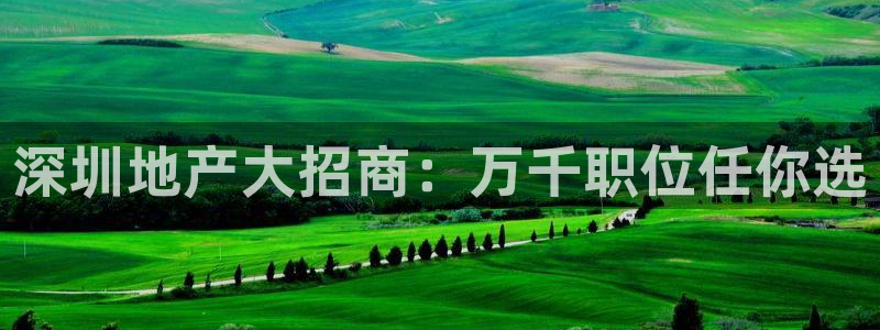 永利34511怎么打不开