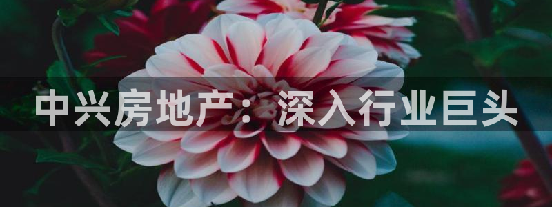 永利汇养生会所