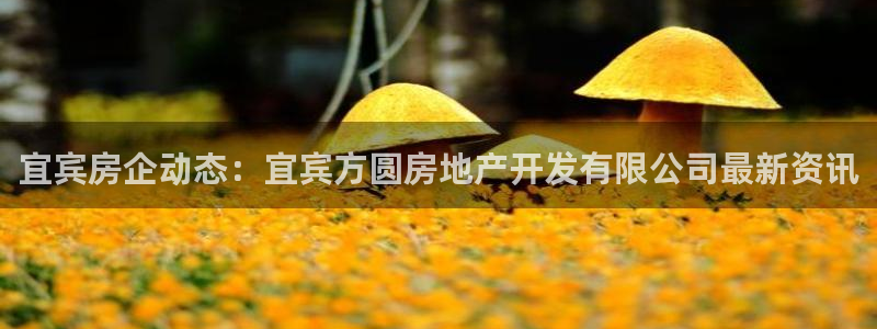 永利车业有限公司