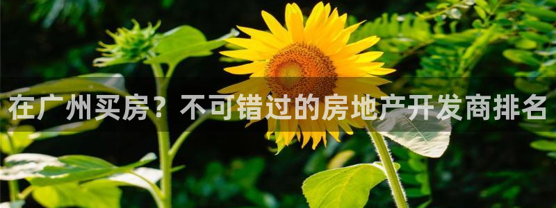 永利股份公司