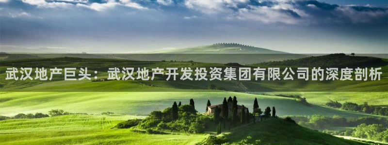 永利网是干什么的,能挣到钱吗安全吗