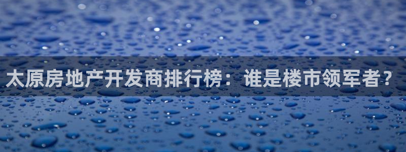 永利有限责任公司