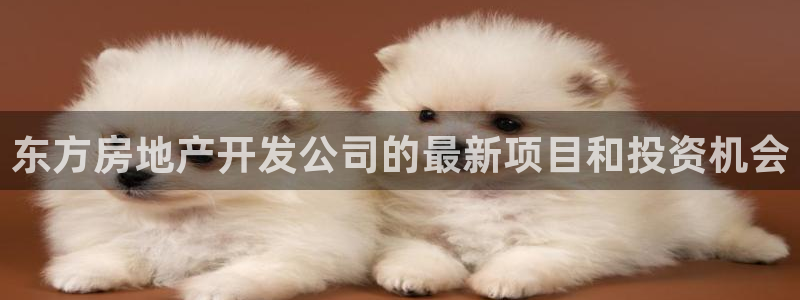 永利网是不是真的