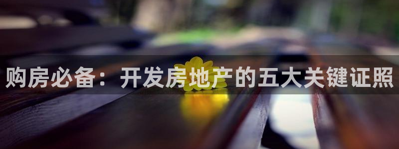 永利网是不是真的假的