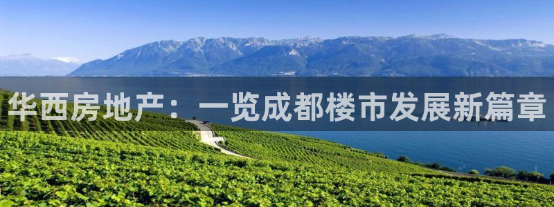 永利来织带