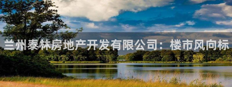 永利能源开发有限公司