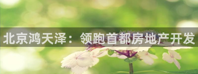 永利房地产有限公司怎么样