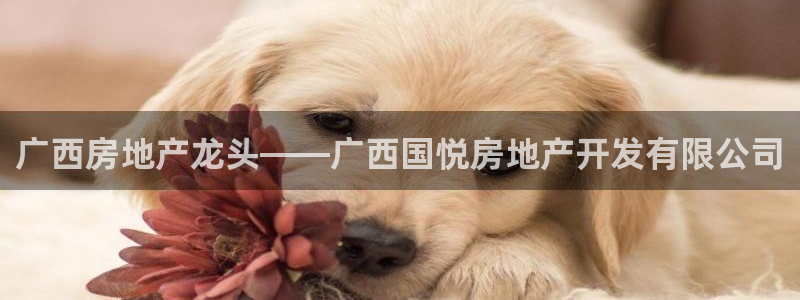 永利带业股票