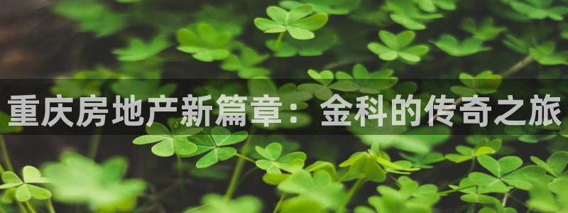永利网是干什么的,能挣到钱吗安全吗