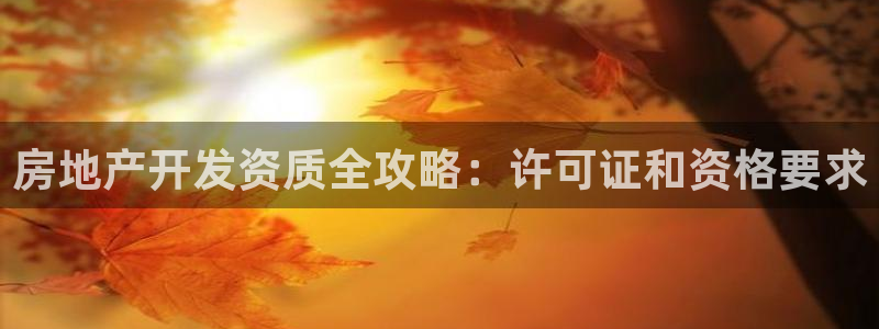 永利网会员