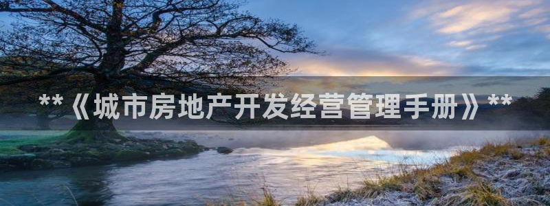 浙江永利集团董事长