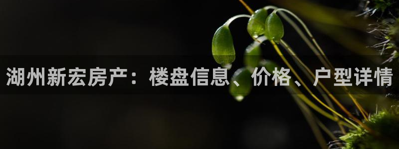 绍兴永利集团董事长