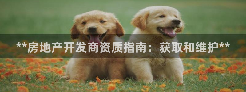 佛山永利工业皮带厂家