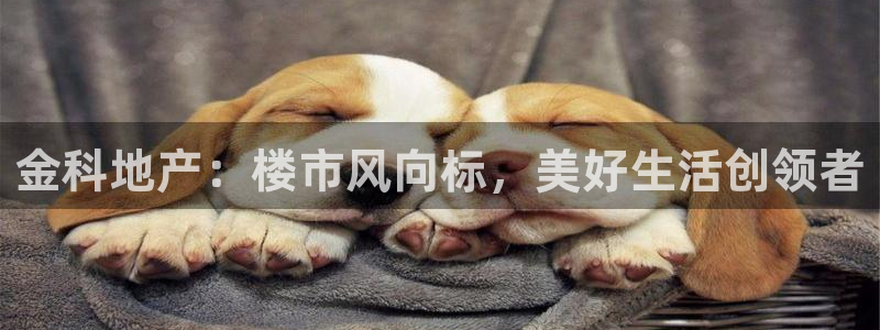 永利贴吧