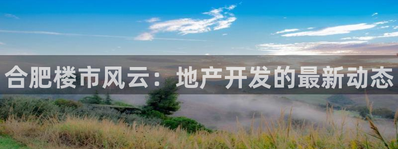 永利输的钱可以弄回来吗
