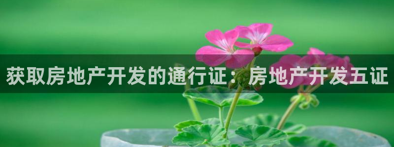 永利杯掼蛋比赛