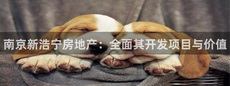 永利表行