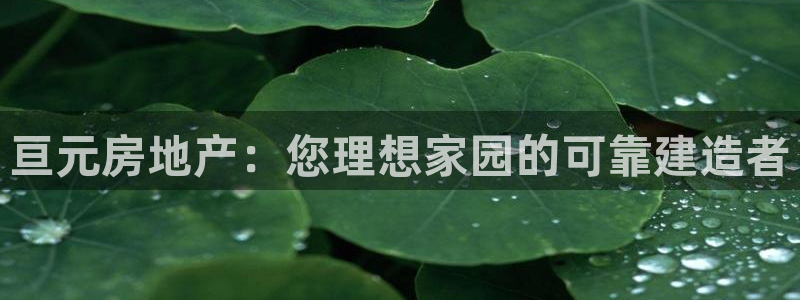 永利带业集团2020年的业绩状况