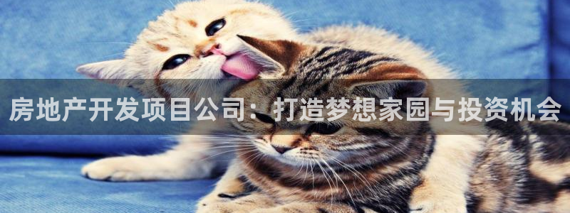 永利保险公司介绍