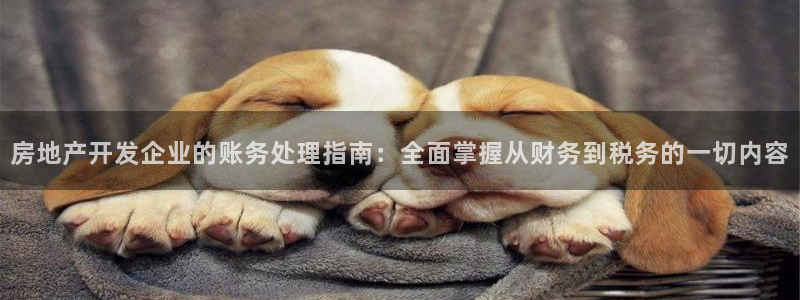 永利带业集团