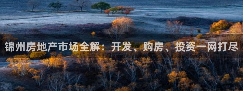 澳门 永利