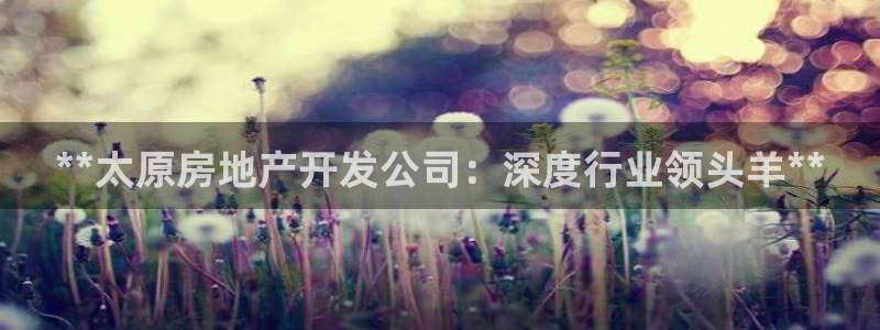 永利汇茶具有限公司