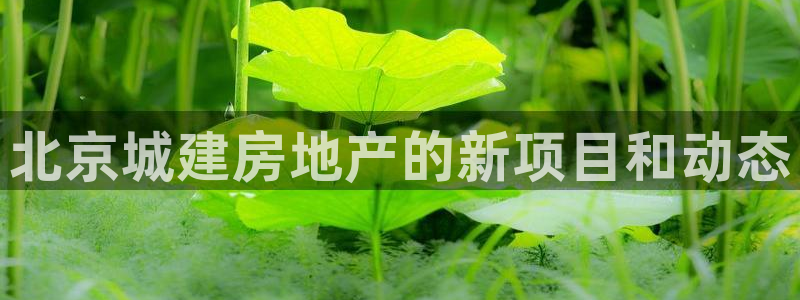 澳门永利游乐网址