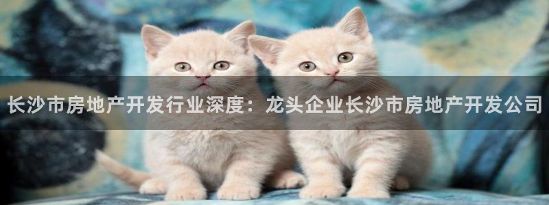 永利网会员