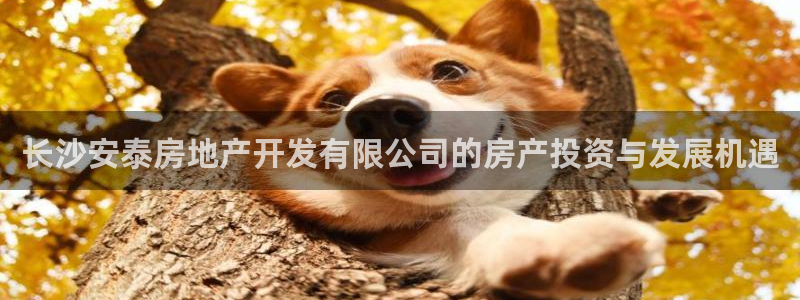 永利股份有限公司
