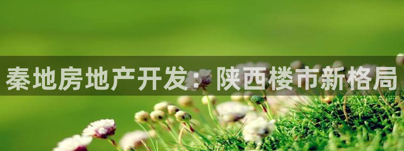 永利网是不是真的