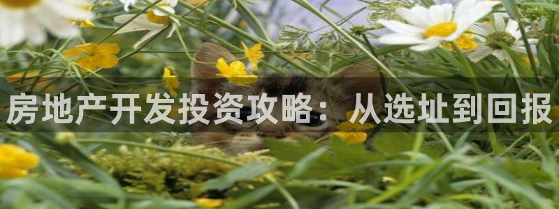 永利电影