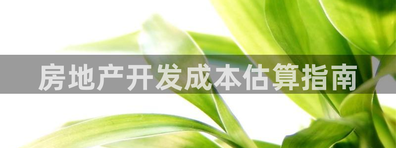 浙江永利集团董事长