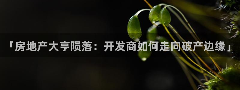 永利打不开