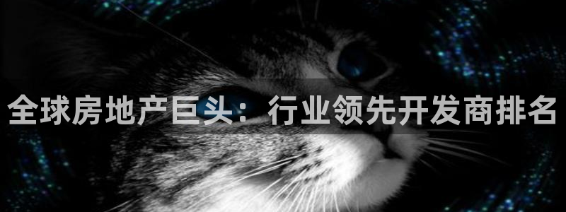 永利投资合法吗