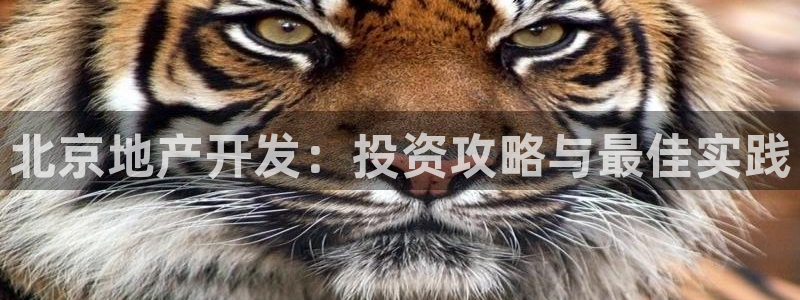 澳门永利陈志玲什么地方人