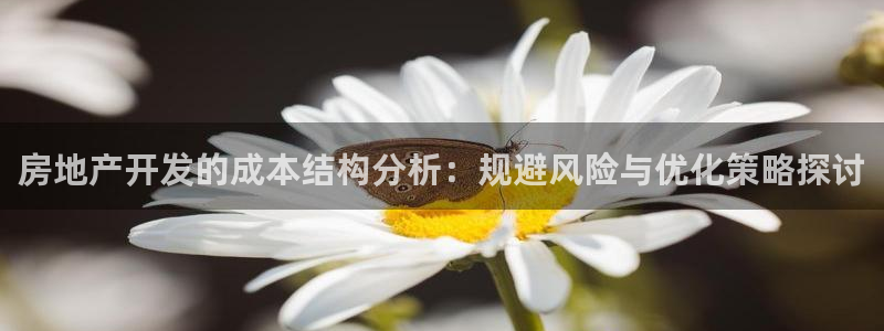永利网是干什么的,能挣到钱吗是真的吗