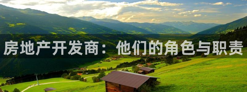 永利制带股票