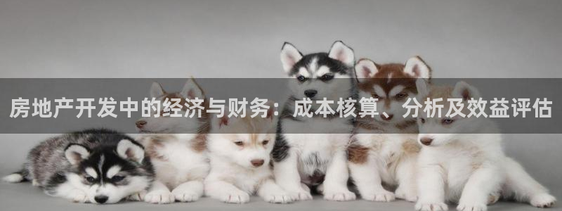 永利提不了款怎么办