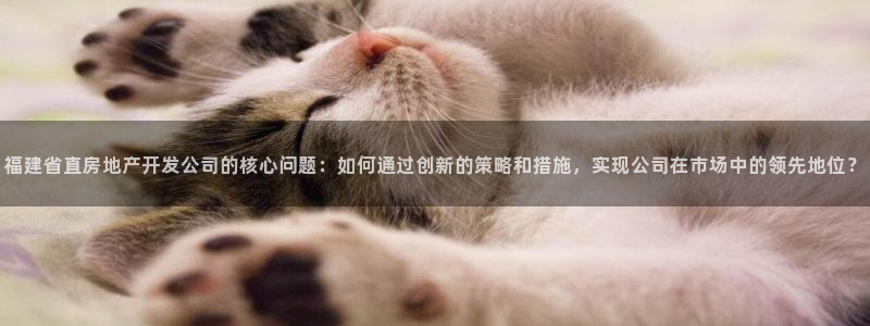 为什么永利网址打不开