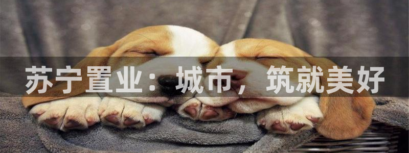 3044am永利集团 官网