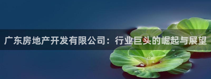 3044am永利集团 官网