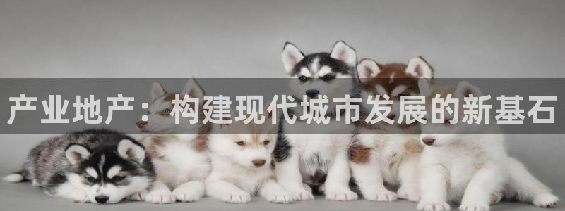 永利地产工程有限公司