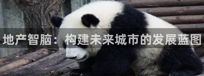 永利建材有限公司