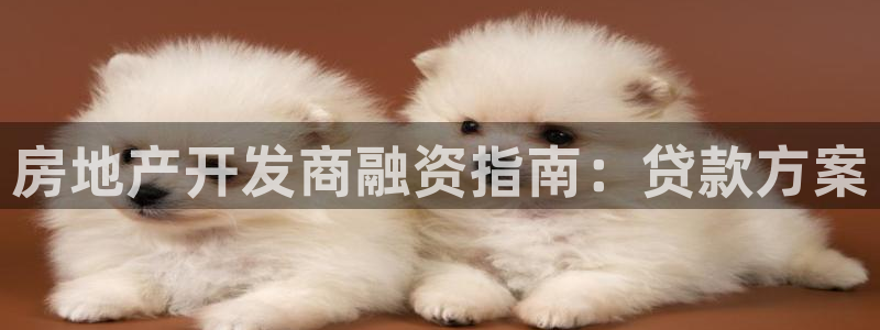 永利皮带官网