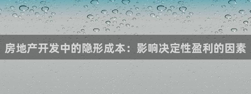 佛山永利工业皮带