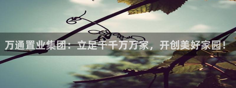 永利建筑工程有限公司董事长