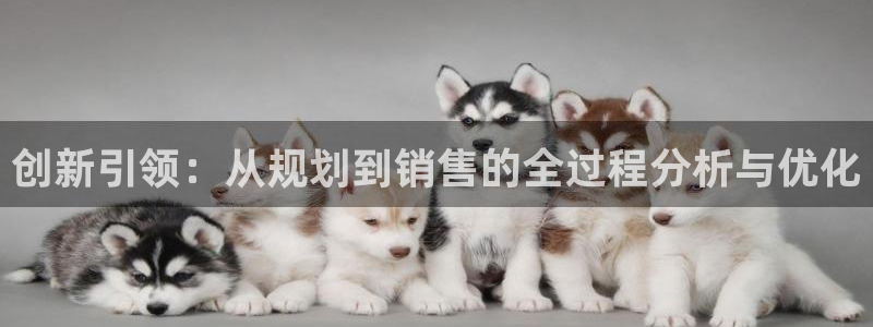 永利34511怎么打不开
